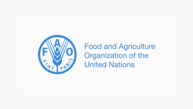 6 Remote Opportunities at FAO – August–September 2025