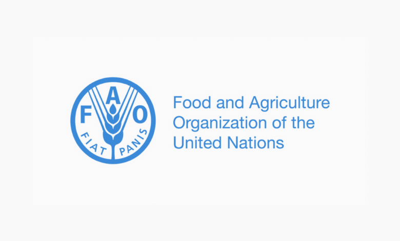 FAO Hiring: Administration and Programme Assistant | Competitive Salary | Apply Before 6 Nov 2025