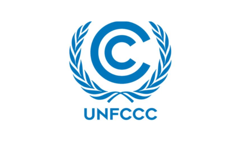 Apply Now: UNFCCC Internship Programme – Remote Option Available – Apply by 21 November 2025