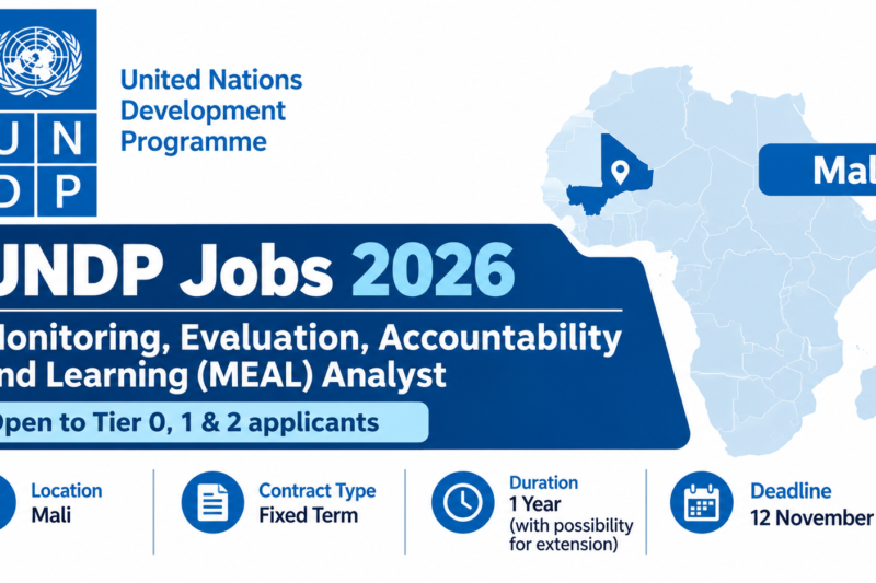 UNDP Jobs 2026: Monitoring, Evaluation, Accountability and Learning (MEAL) Analyst in Mali