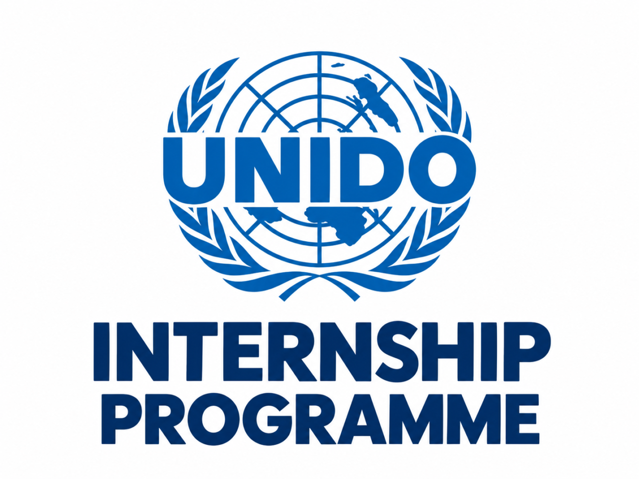 Internship Programme