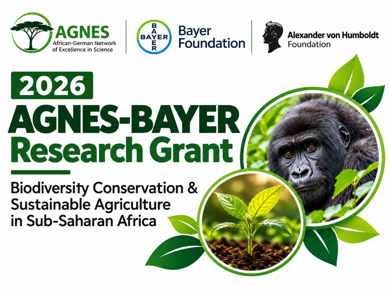 Research Grant